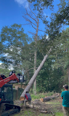 Stump Grinding